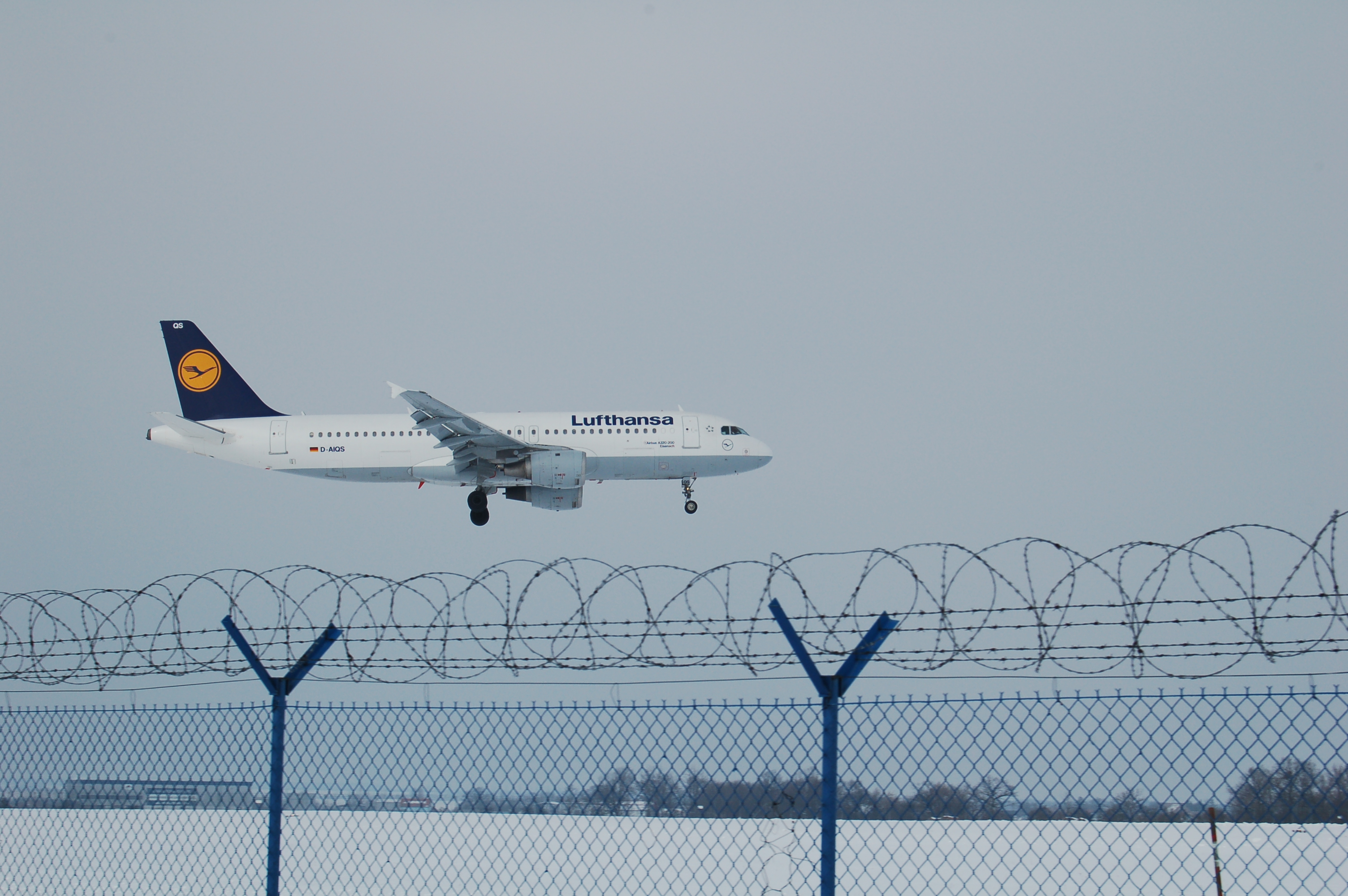 Lufthanza
