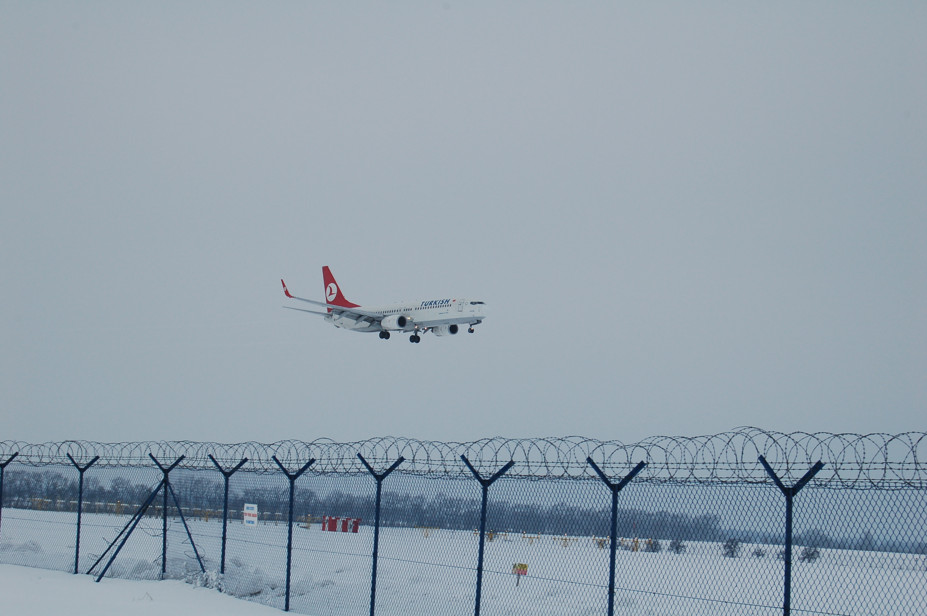 Turkish airlines.