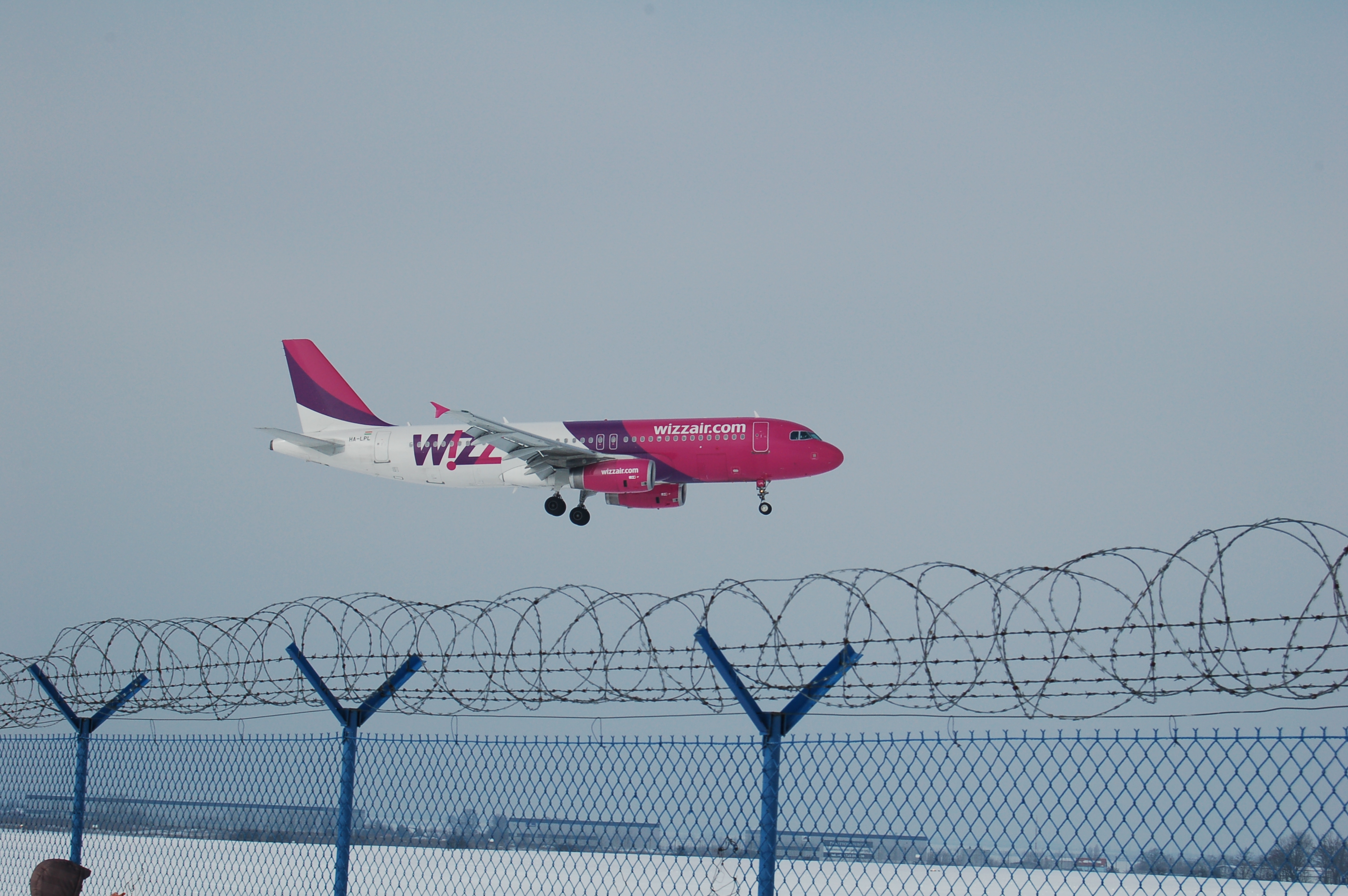 wizz air