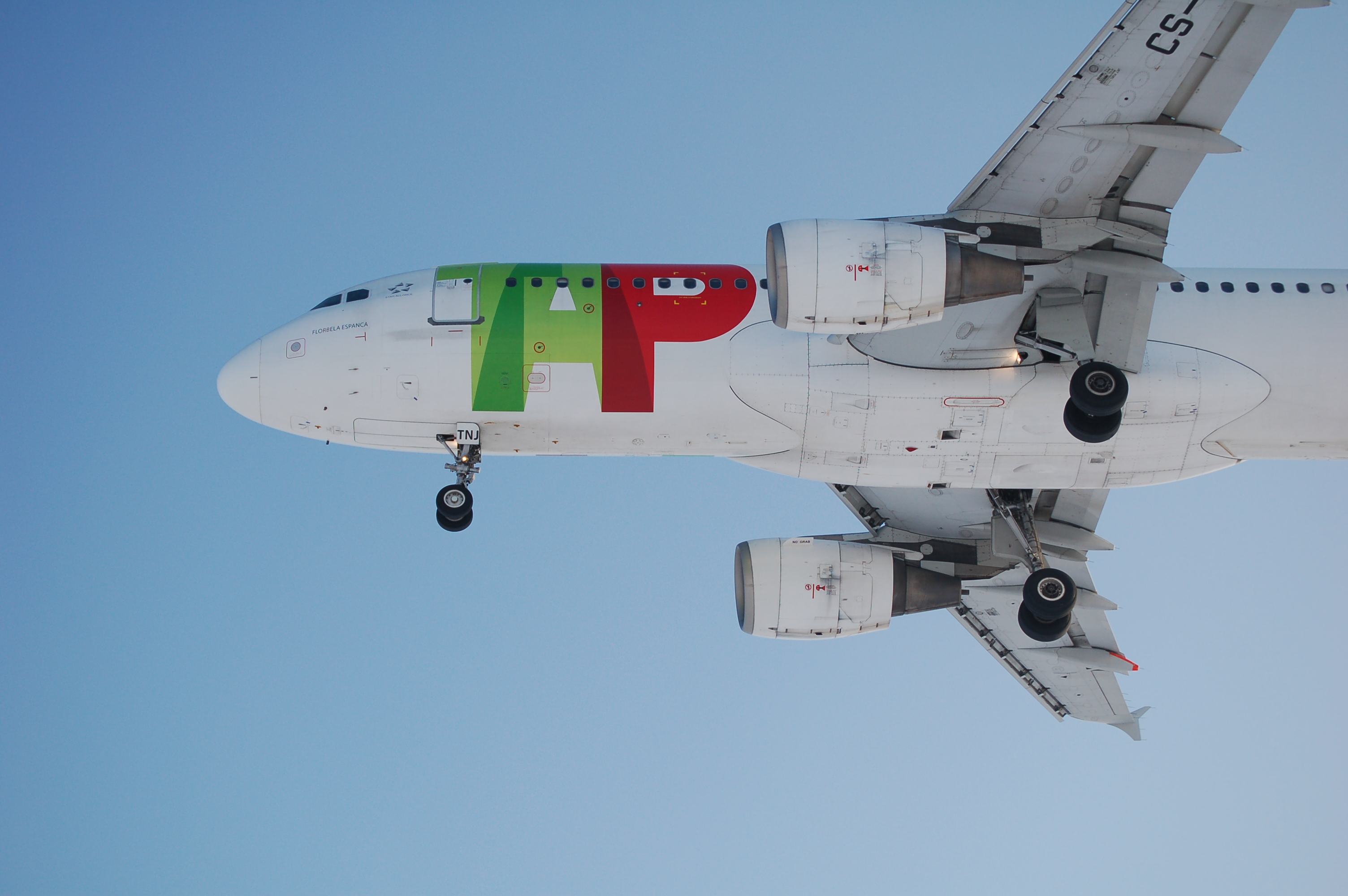 Tap portugal .