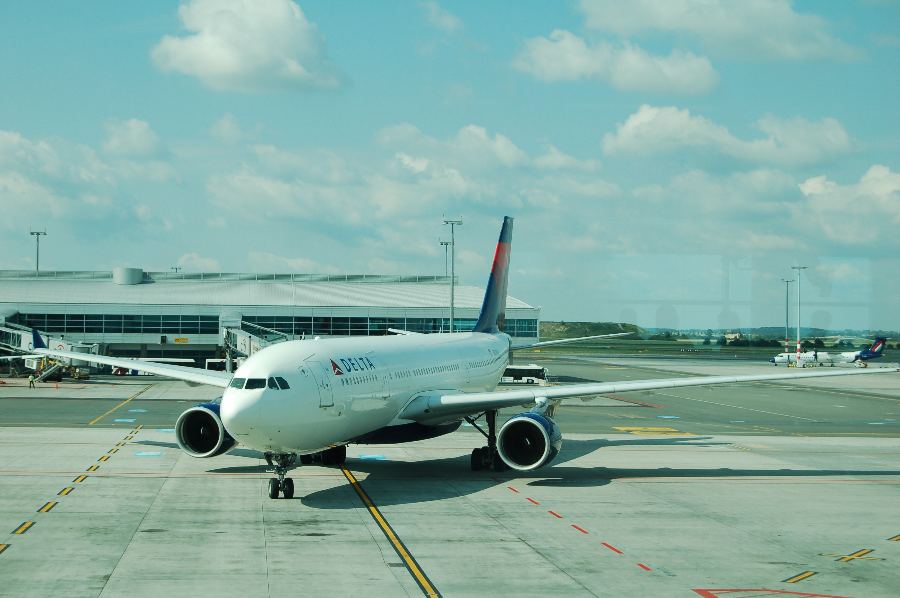 Delta Air Lines 